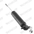MONROE D8492S - Jeu de 2 amortisseurs avant