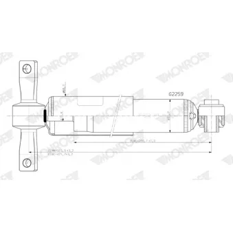 Jeu de 2 amortisseurs arrière MONROE OEM 2415910