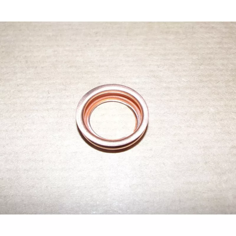 Joint de bouchon de vidange d'huile OE 1102601M02 - Visuel 2