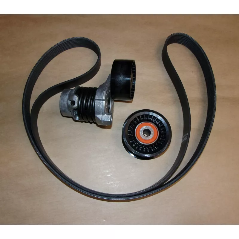 Jeu de courroies trapézoïdales OE 117203790R - Visuel 2