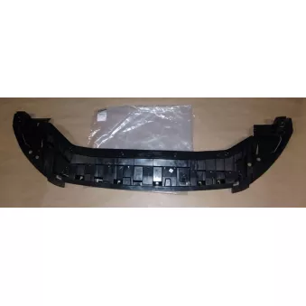 Cache moteur OE OEM 620920805R