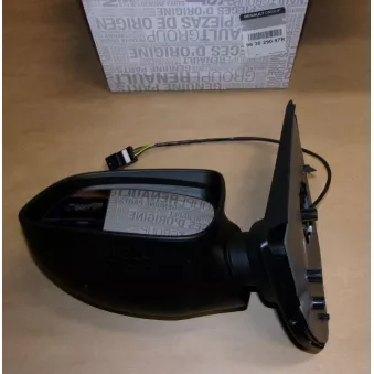 Rétroviseur Gauche OE OEM 963029097R