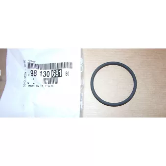 OE 9813068180 - Joint, vanne EGR