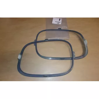 Cadre, projecteur antibrouillard OE 1631806180 pour CITROEN C3 AIRCROSS 1.5 BlueHDi 100 - 102cv