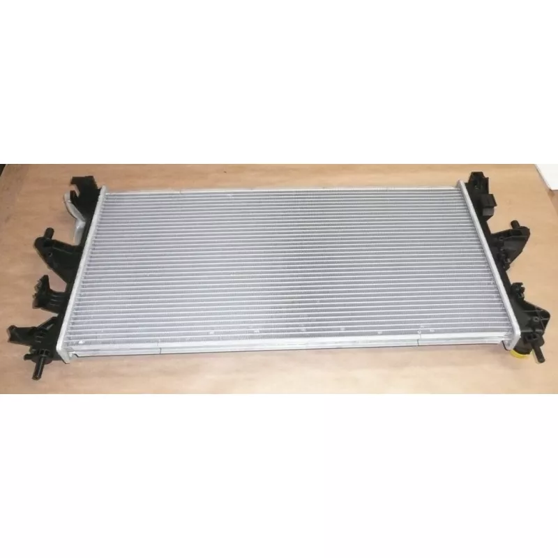 Radiateur, refroidissement du moteur OE 1691074780 - Visuel 1