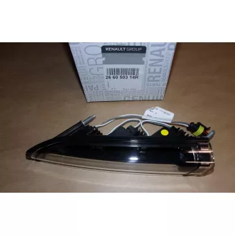 Feu diurne à gauche OE 266050314R