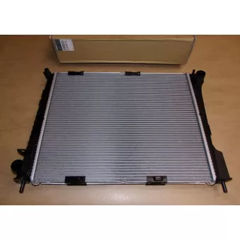 Radiateur, refroidissement du moteur OE OEM 8200468913