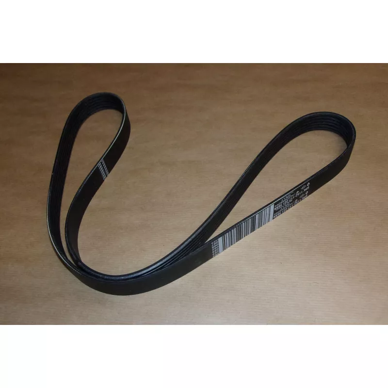 Courroie trapézoïdale à nervures OE 117201565R - Visuel 2
