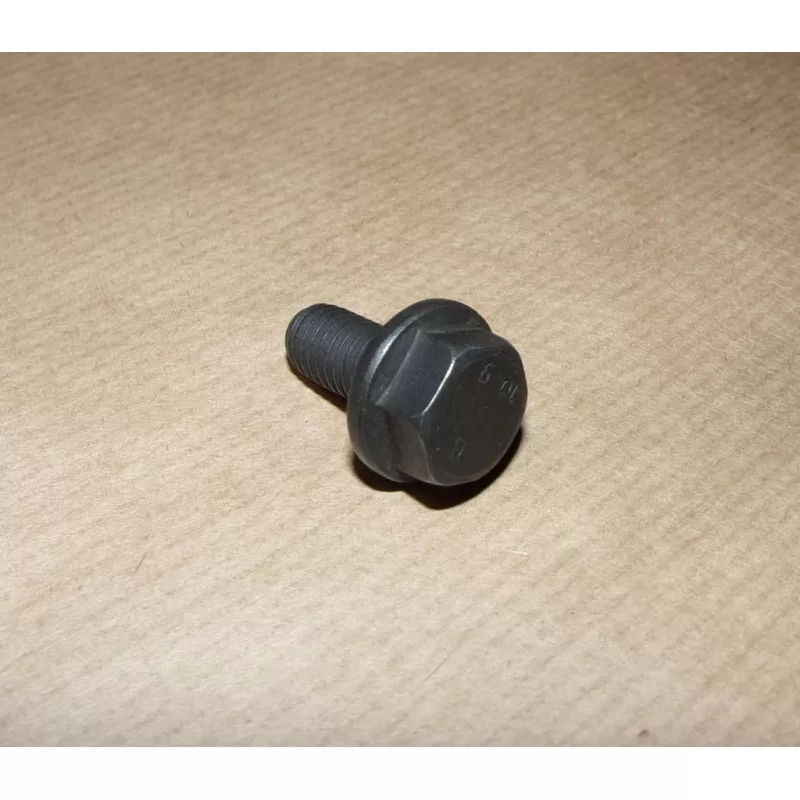 Vis, pignon d'arbre à cames OE 080666 - Visuel 1