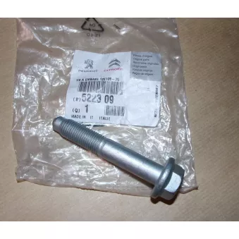 Vis pour amortisseur inférieur essieu avant OE [522309]