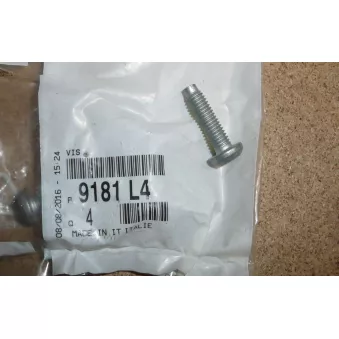 VIS OE OEM 9181K3