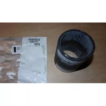 manche OE OEM 0382P1