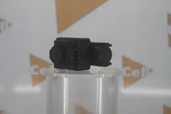 Transmetteur de pression, controle des gaz d'échappement DA SILVA GR9025