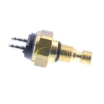 Interrupteur de température, ventilateur de radiateur VEMO [V26-99-0014]