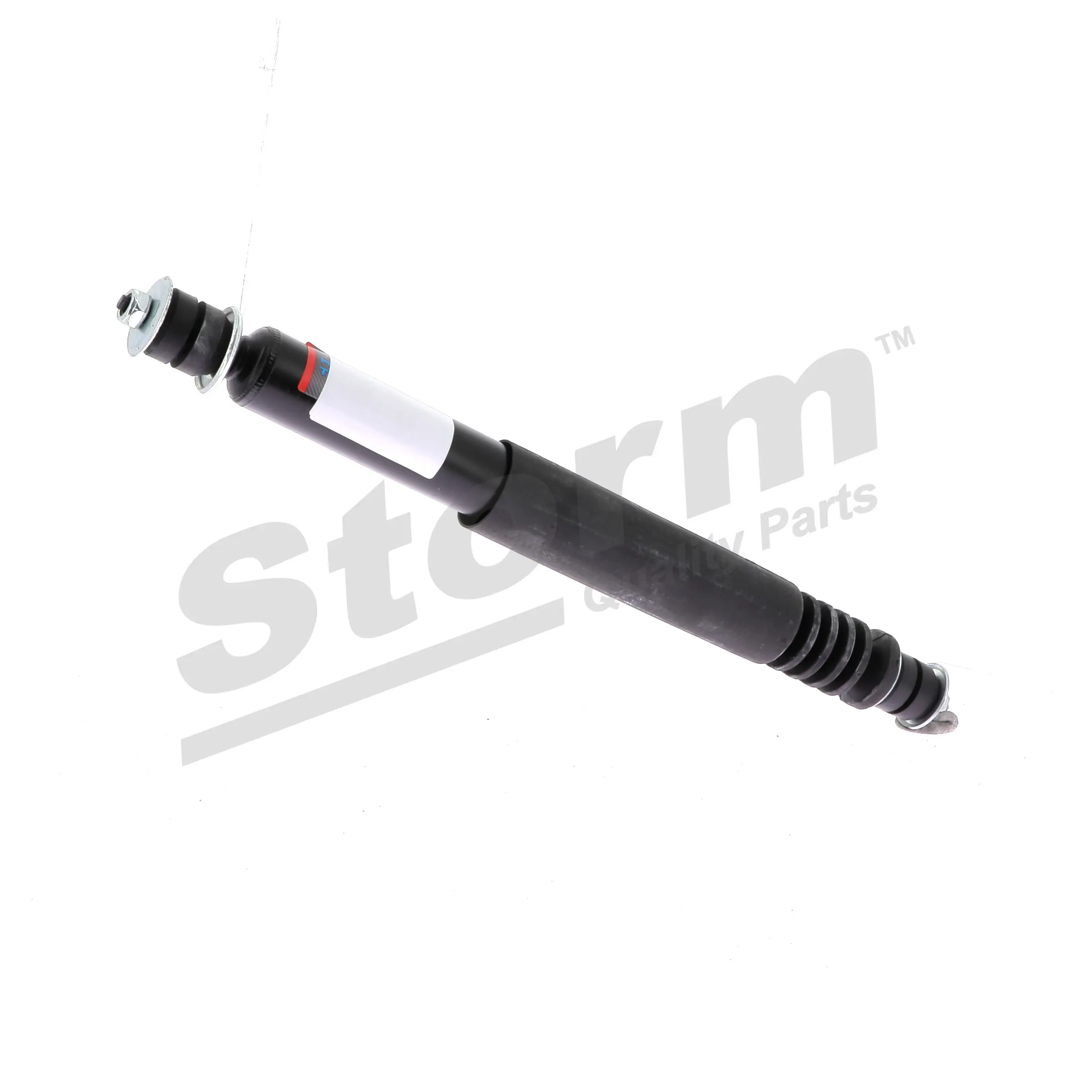 Jeu de 2 amortisseurs arrière Storm OEM 7700659385