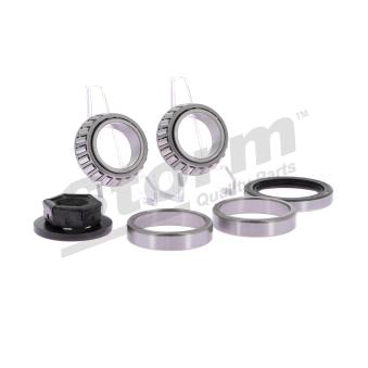 Roulement de roue arrière Storm OEM 1019561 Roulement de roue arrière Storm OEM 1019561