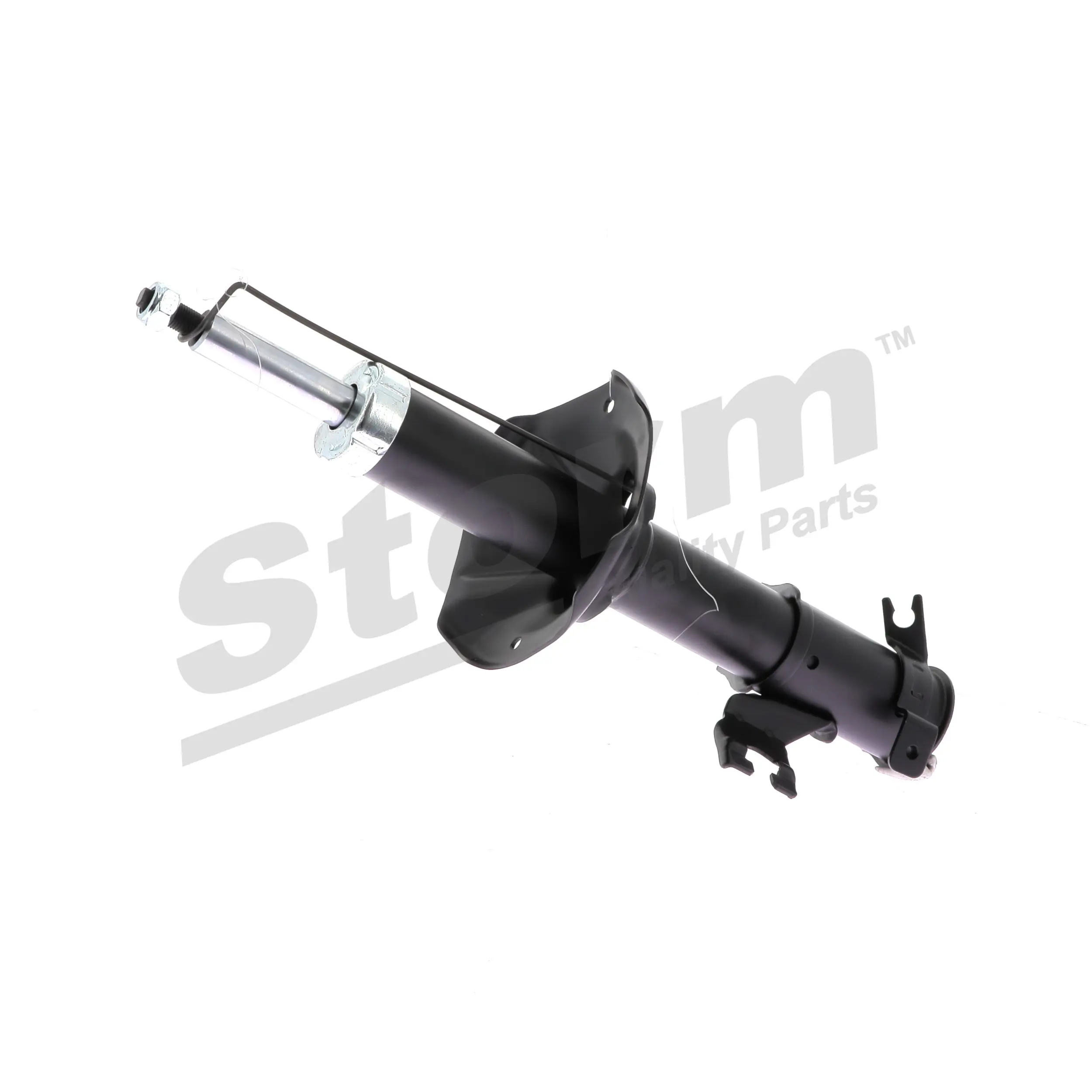 Jeu de 2 amortisseurs avant Storm OEM 543020N626