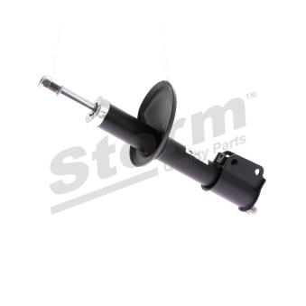 Jeu de 2 amortisseurs avant Storm [811800]