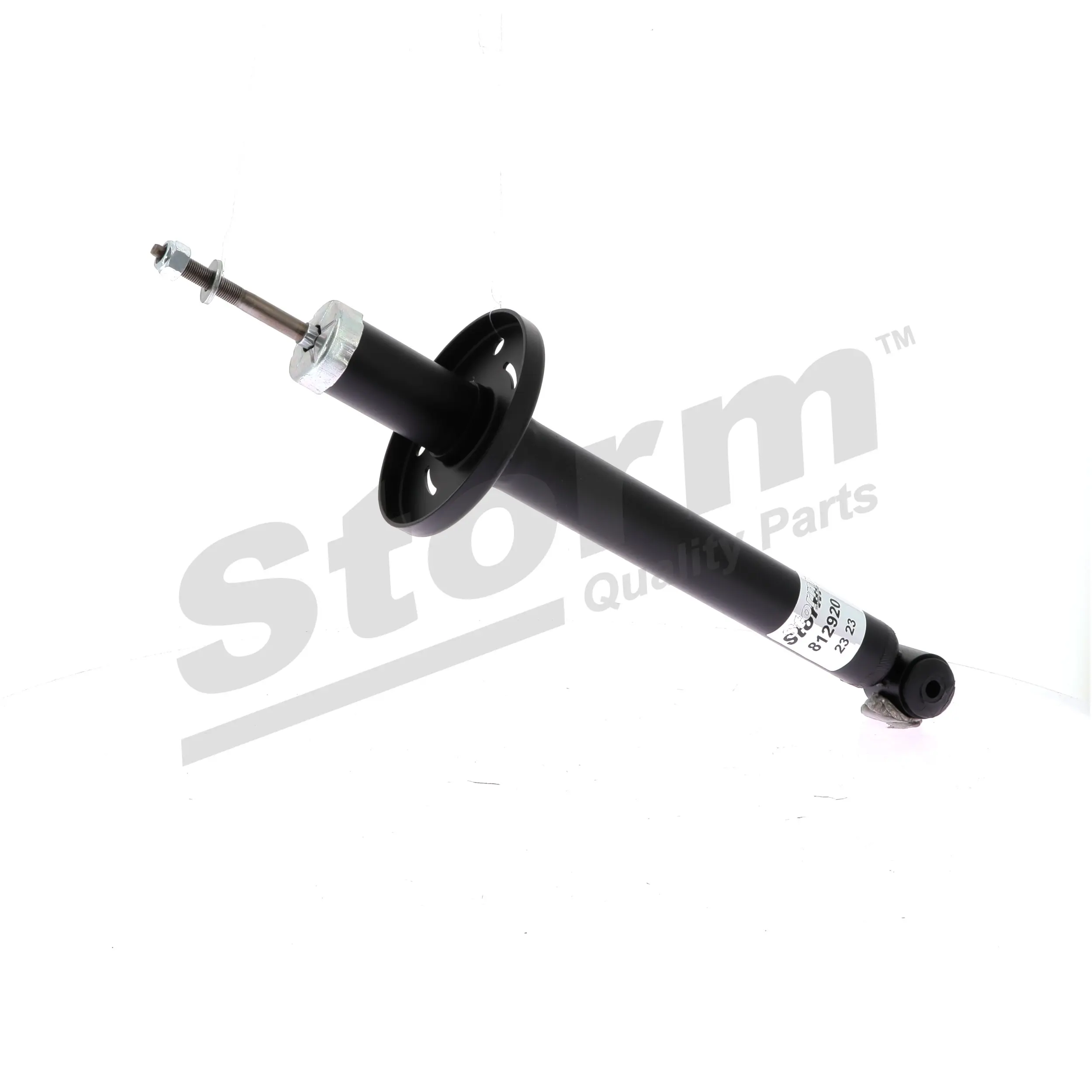 Jeu de 2 amortisseurs avant Storm OEM 191513033M