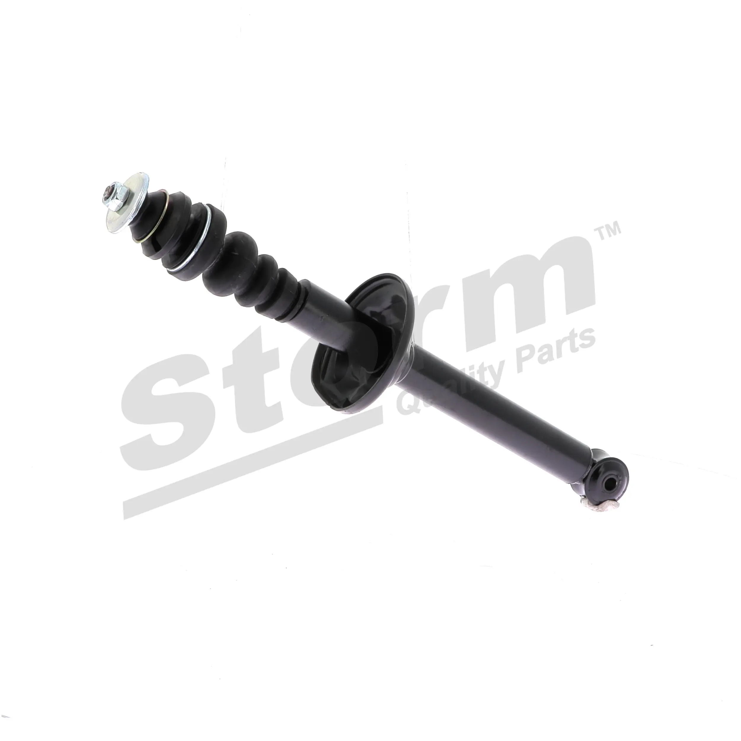 Jeu de 2 amortisseurs avant Storm OEM 5620304B25