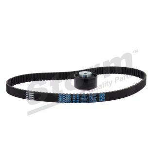 Kit de distribution Storm OEM 71736717 Kit de distribution Storm OEM 71736717