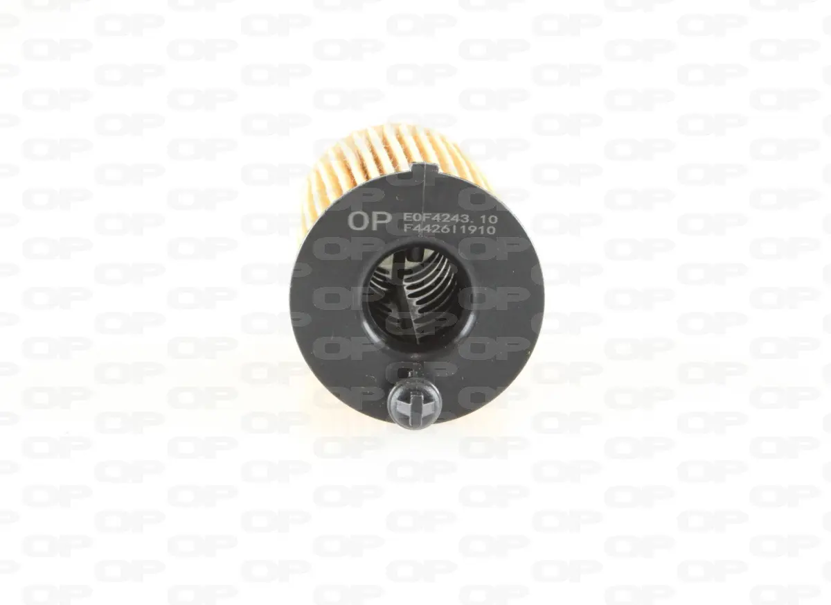 Filtre à huile OPEN PARTS EOF4243.10