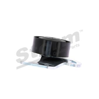 Poulie renvoi/transmission, courroie trapézoïdale à nervures Storm OEM 8200328372 Poulie renvoi/transmission, courroie trapézoïdale à nervures Storm OEM 8200328372