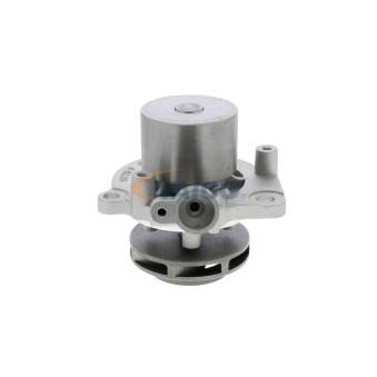 Pompe à eau VAICO OEM 04L121011M Pompe à eau VAICO OEM 04L121011M