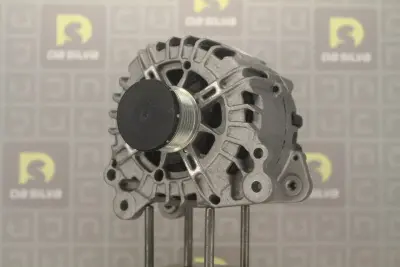 Alternateur DA SILVA 031307